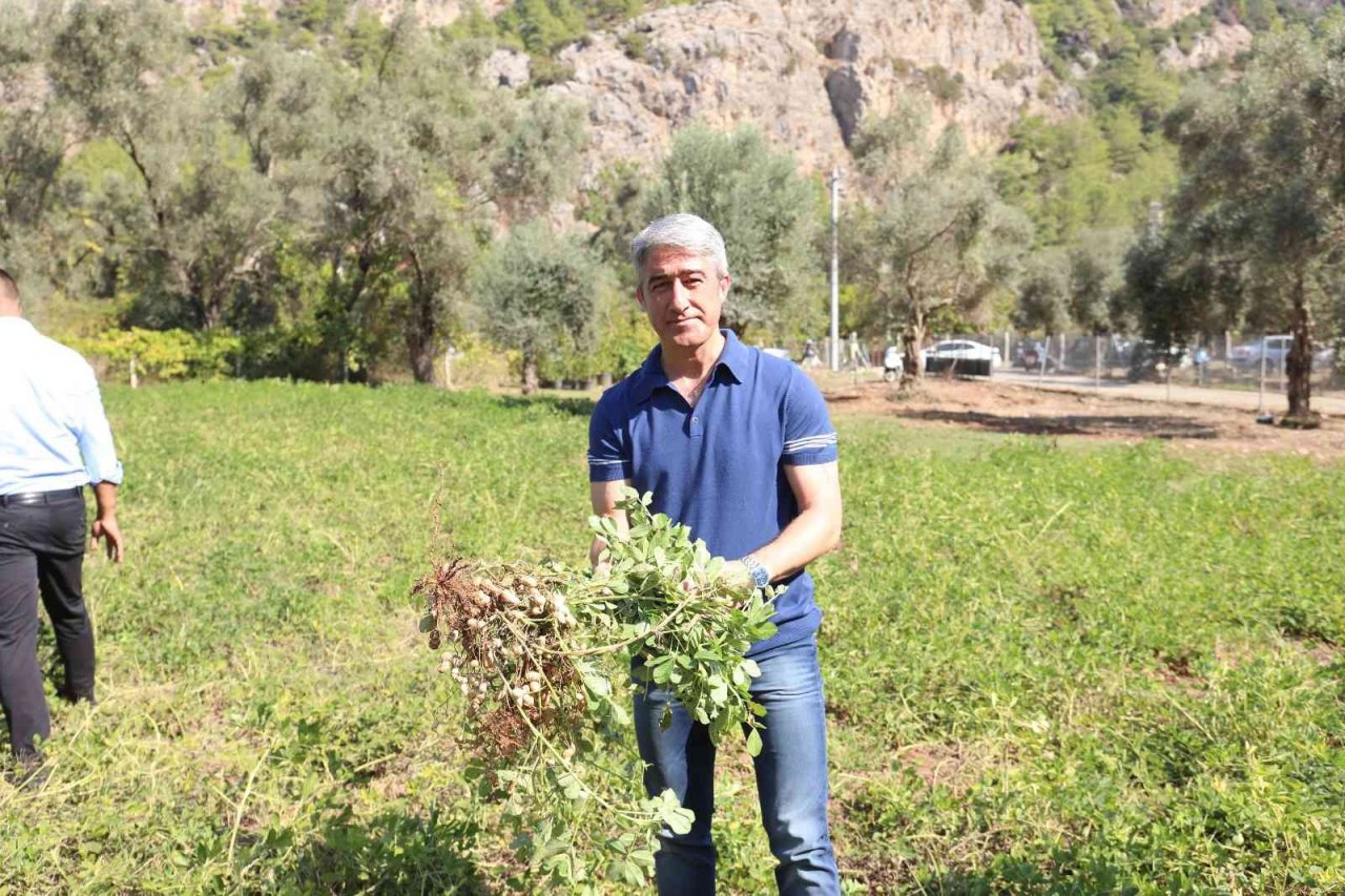 Marmaris’te yeşil alan miktarı 609 bin metrekareye çıktı