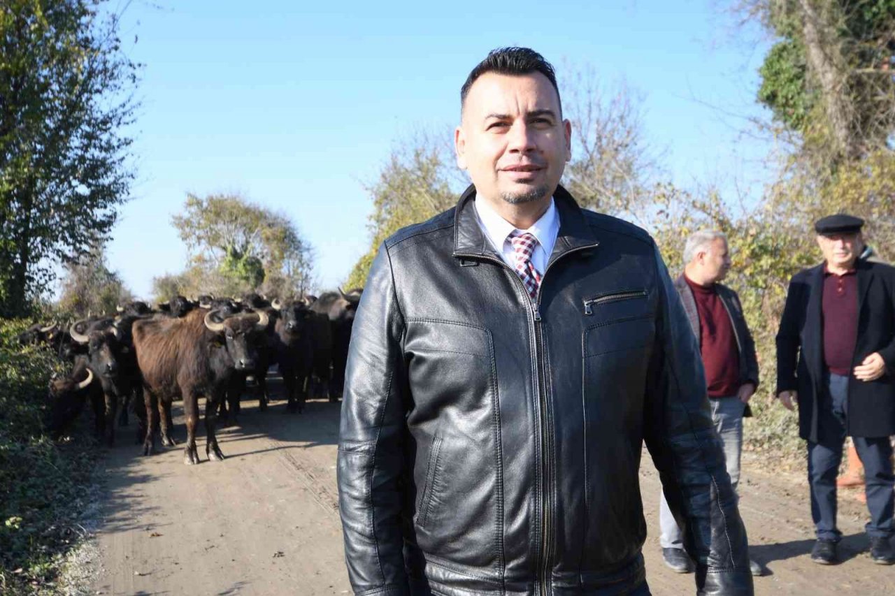 Manda pastırması, sığır pastırmasının yerini alıyor