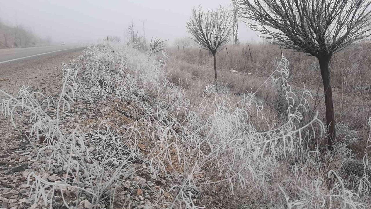 Adıyaman’da kırağı her yeri beyaza bürüdü