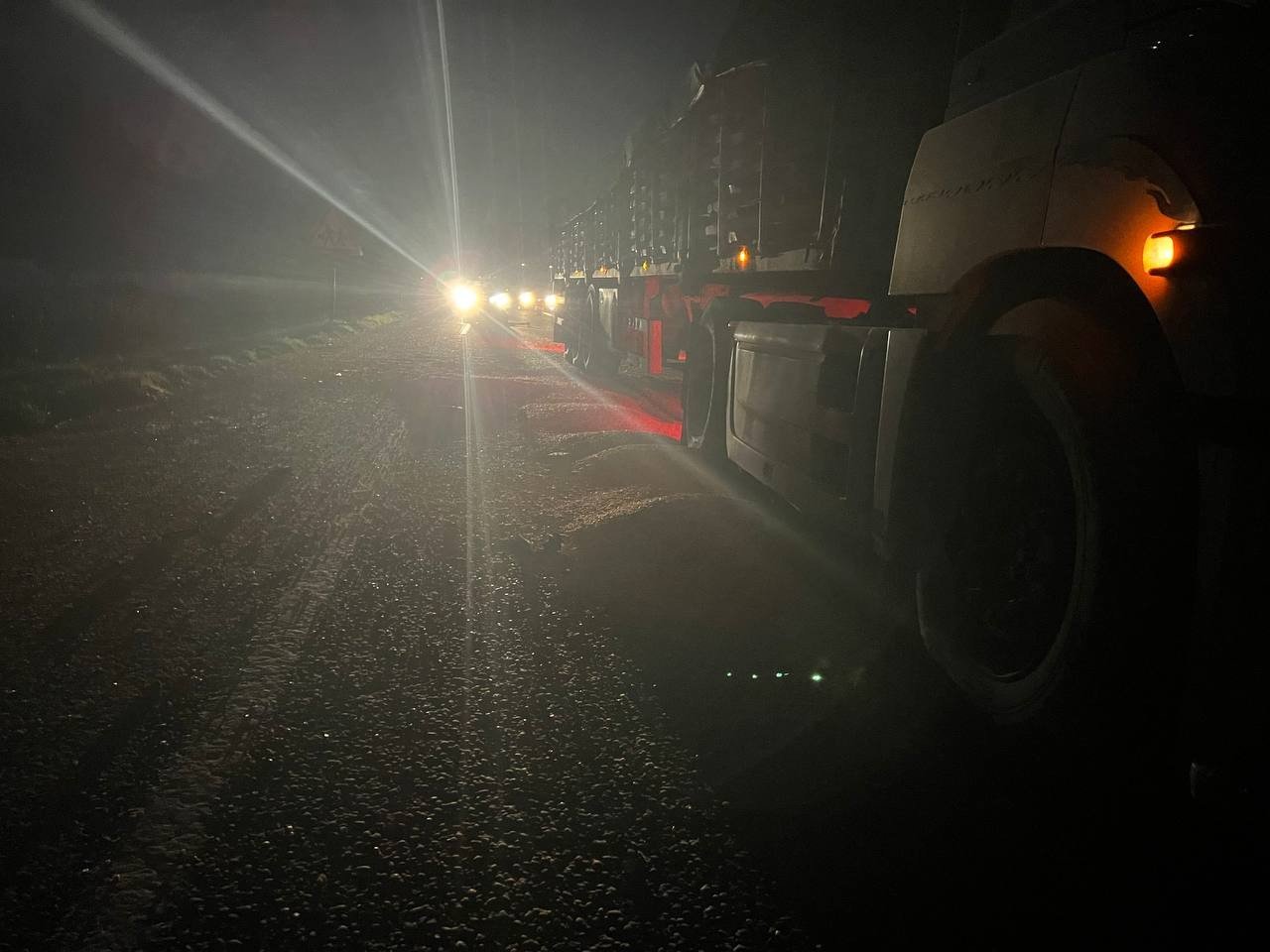 Tırın çarptığı yüzbinlerce liralık 2 yarış atı telef oldu