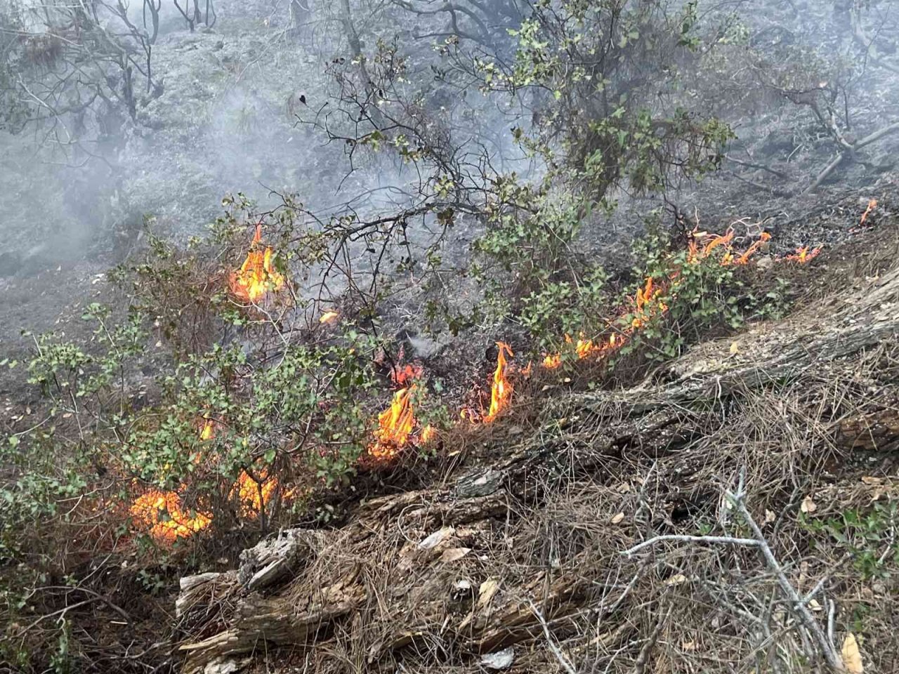 Alanya’da orman yangınında yaklaşık 10 dönüm zarar gördü