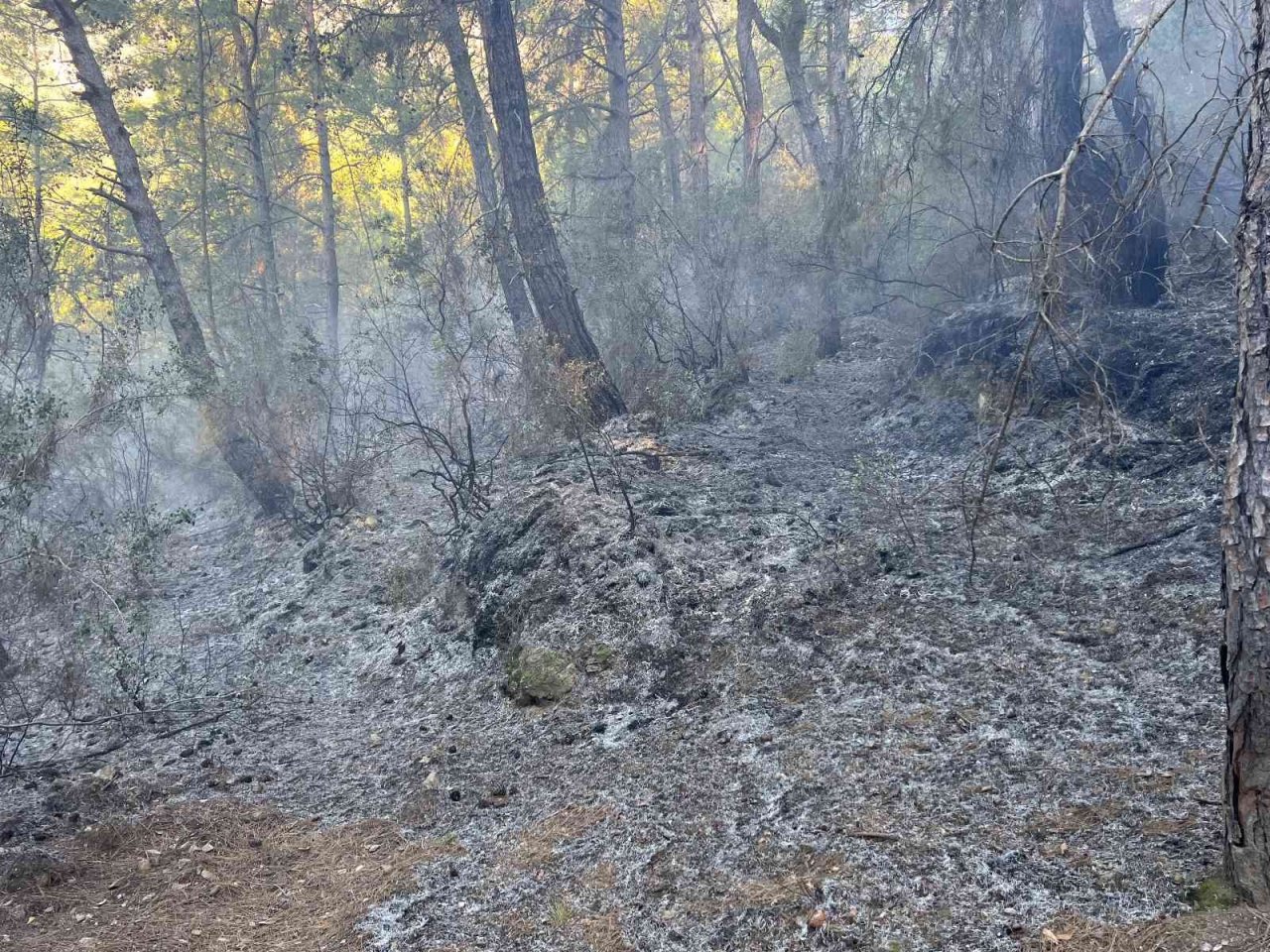 Alanya’da orman yangınında yaklaşık 10 dönüm zarar gördü