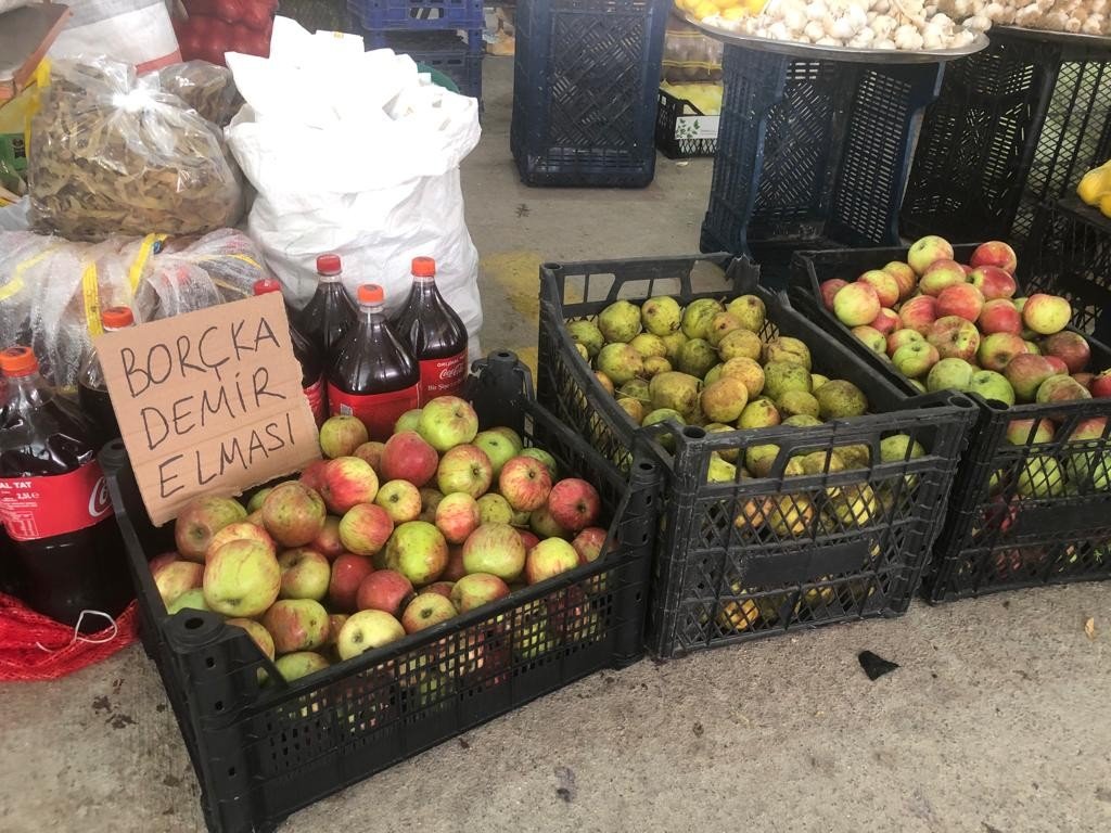 Borçka’nın Demir Elması coğrafi işaret tescil belgesi aldı
