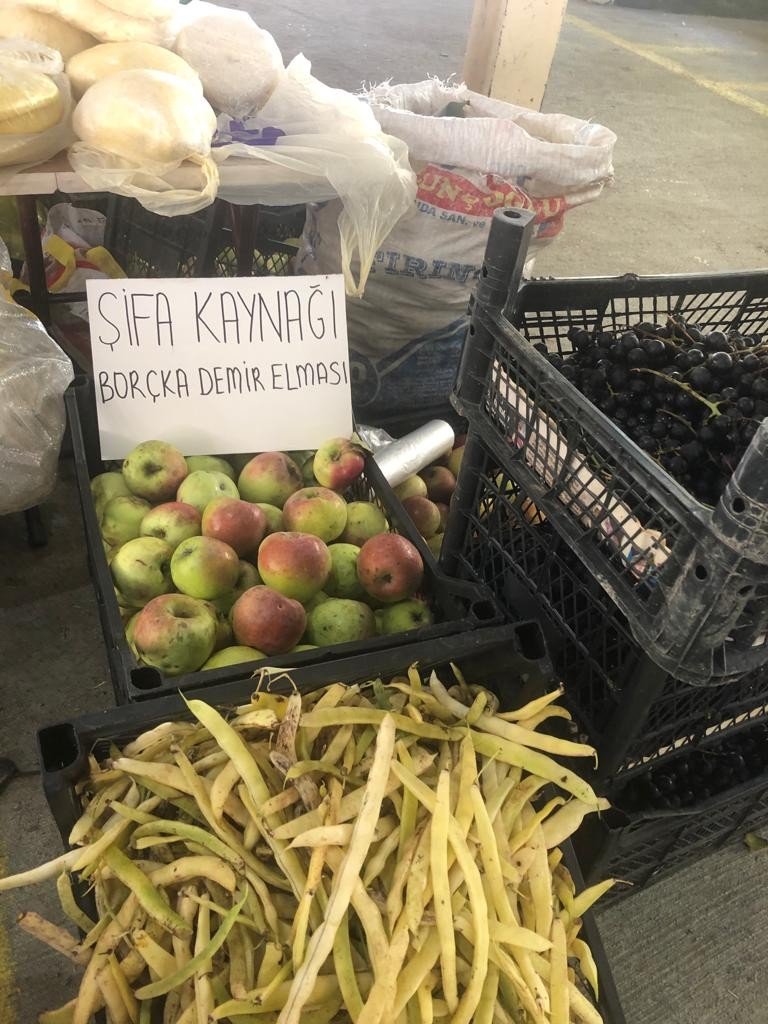 Borçka’nın Demir Elması coğrafi işaret tescil belgesi aldı