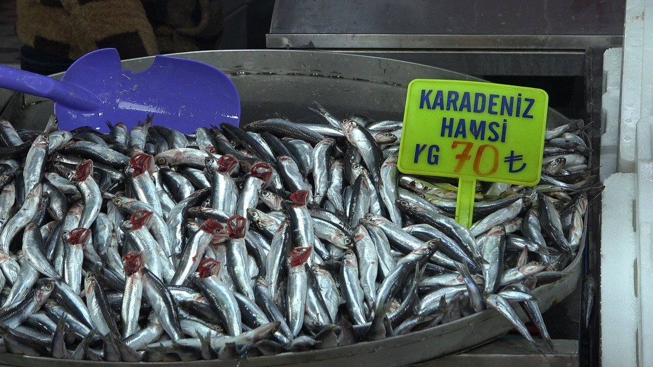 Balık tezgahları çinekop ile şenlendi