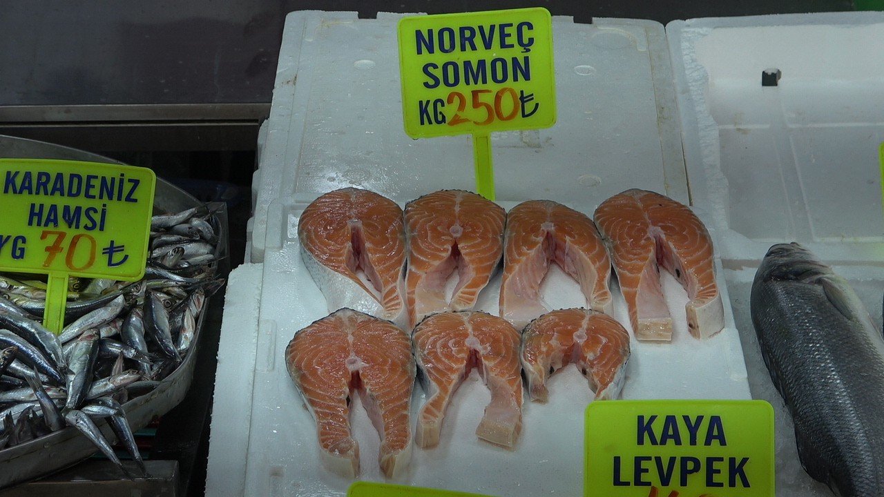 Balık tezgahları çinekop ile şenlendi