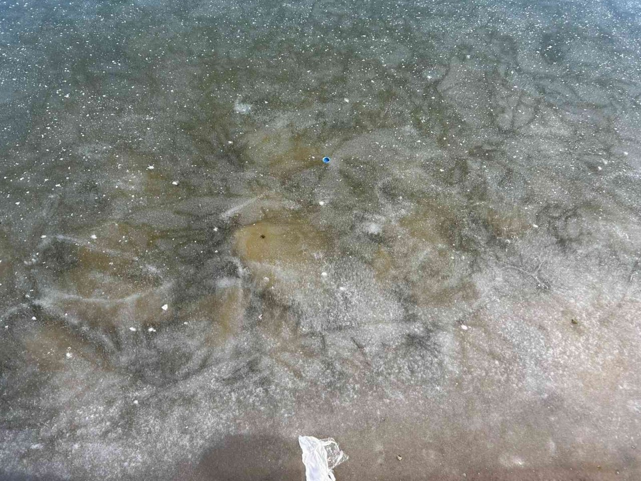 Erzurum’da bir göl, soğuk havanın etkisiyle donarak buz tuttu