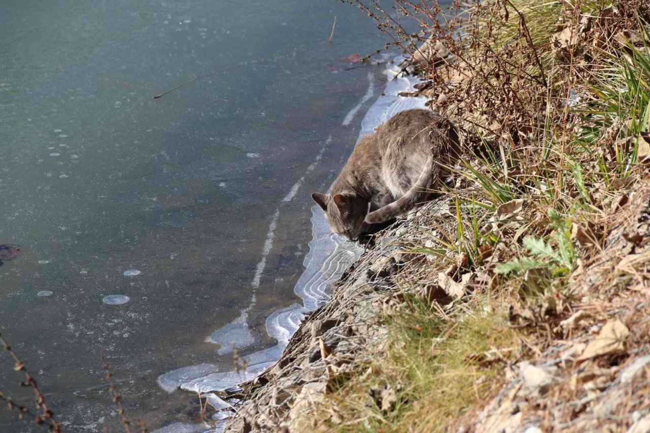 Porsuk Çayı’nın yüzeyi buz tuttu
