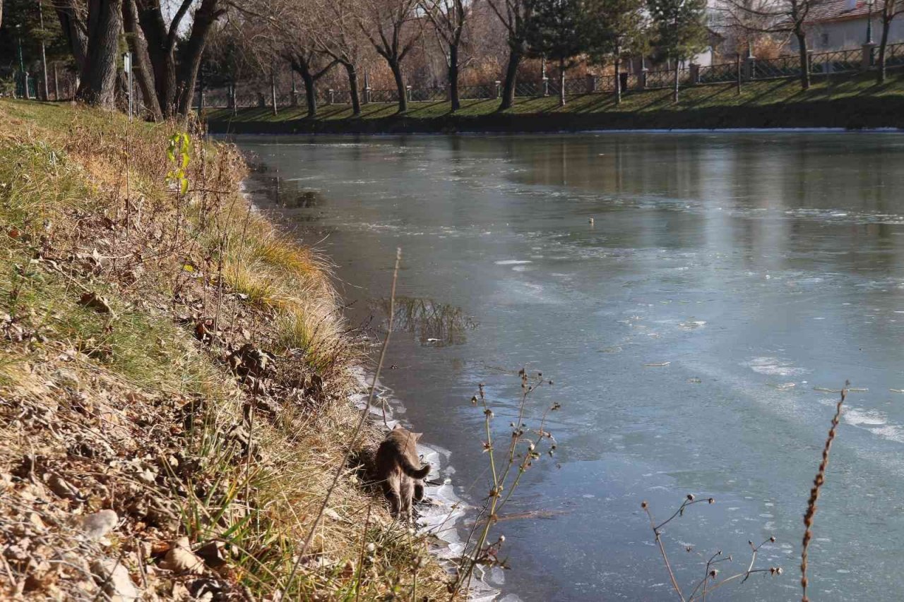 Porsuk Çayı’nın yüzeyi buz tuttu
