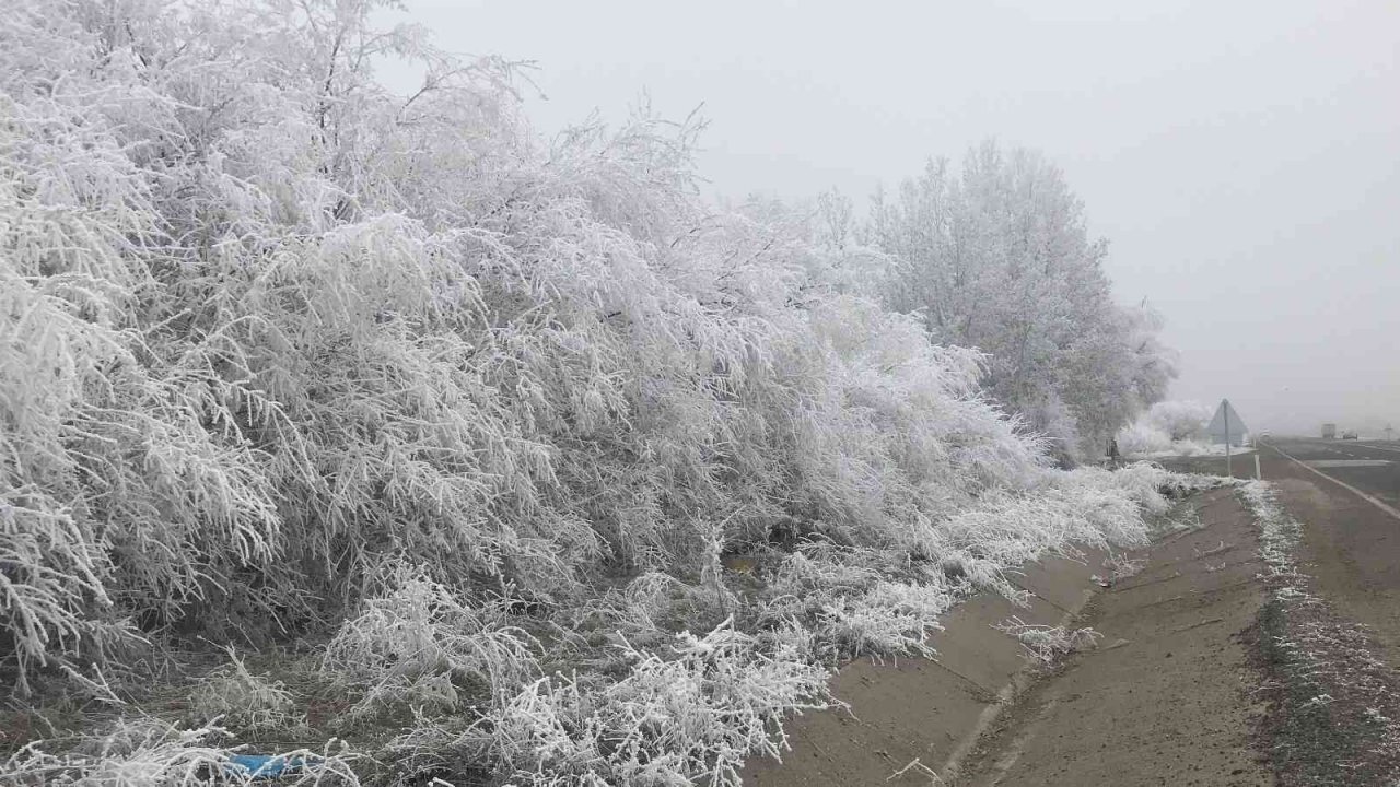 Elazığ’da kırağı ağaçları beyaza bürüdü