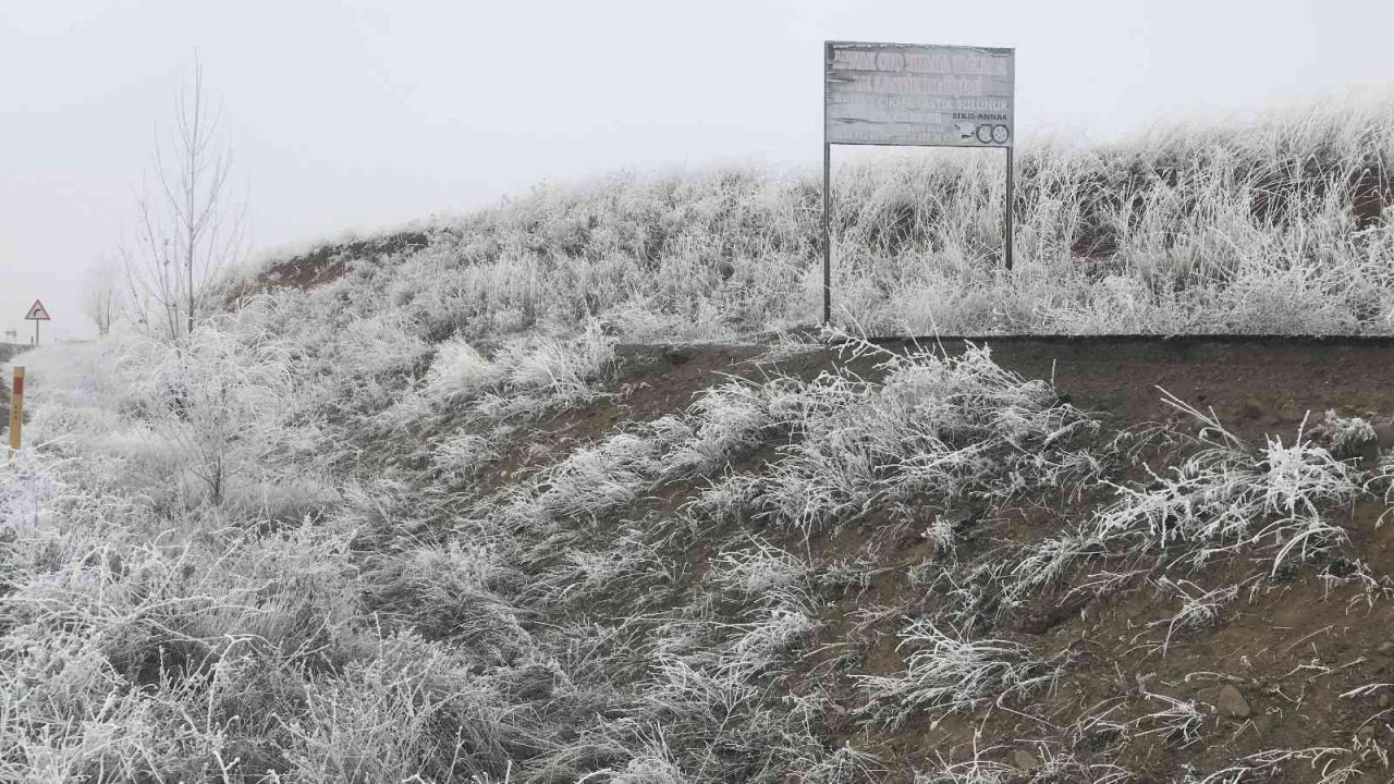Elazığ’da kırağı ağaçları beyaza bürüdü