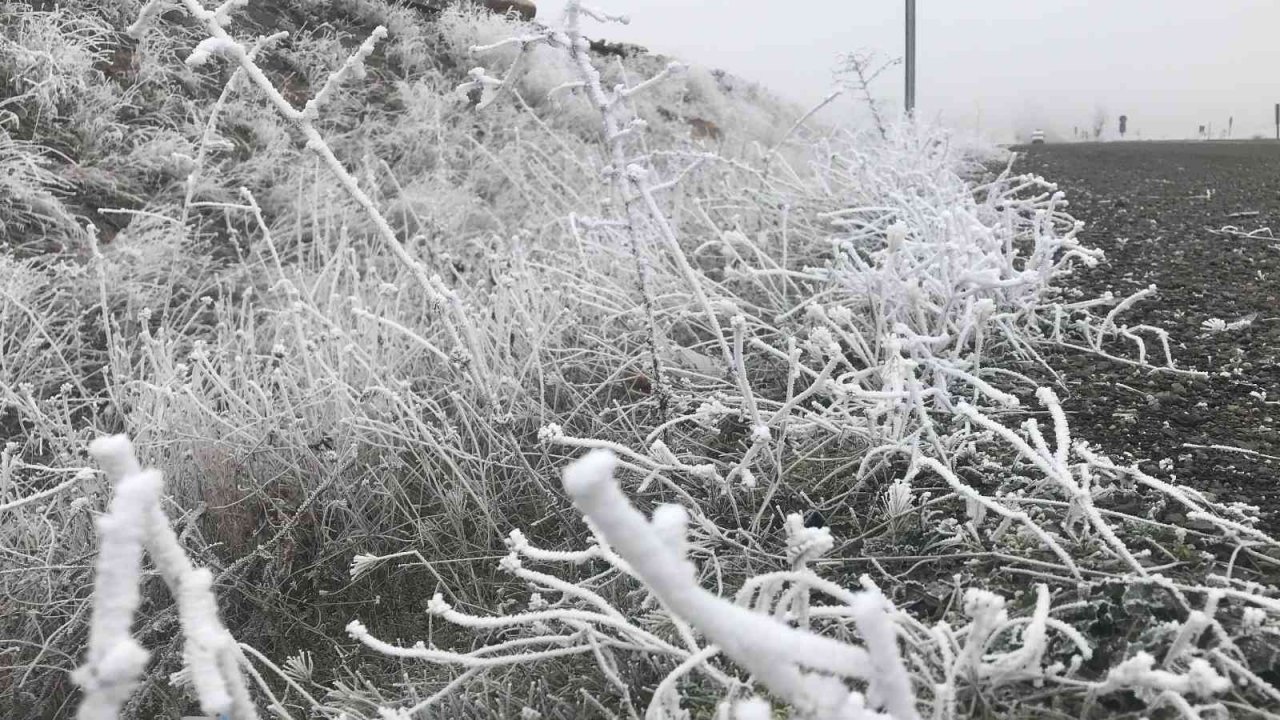 Elazığ’da kırağı ağaçları beyaza bürüdü
