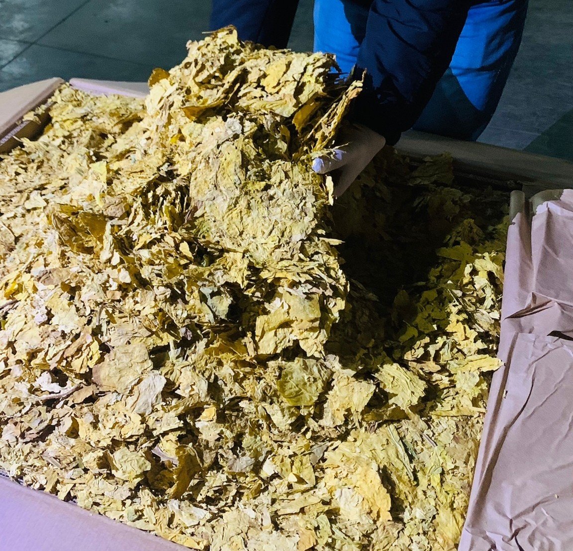 Yeni yılın ilk büyük kaçak tütün yakalaması İzmir’den