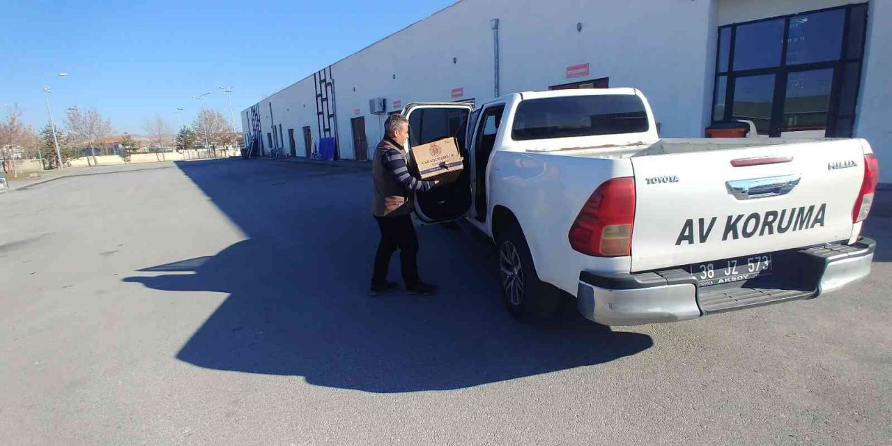 Yaralı baykuş tedavi altına alındı