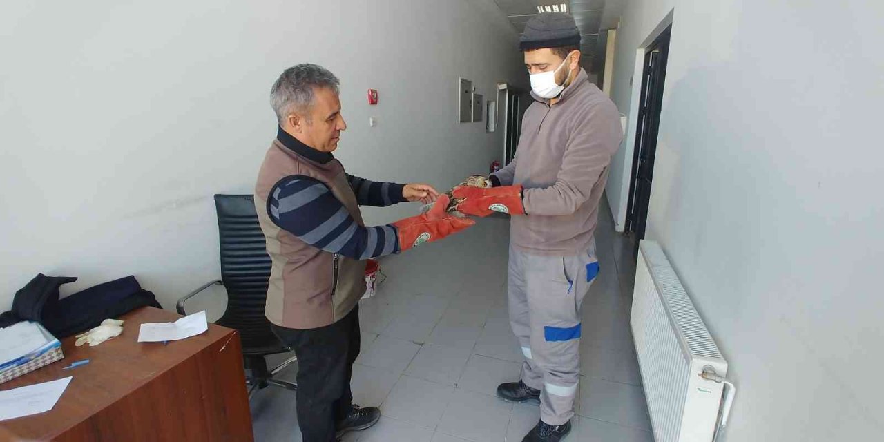 Yaralı baykuş tedavi altına alındı