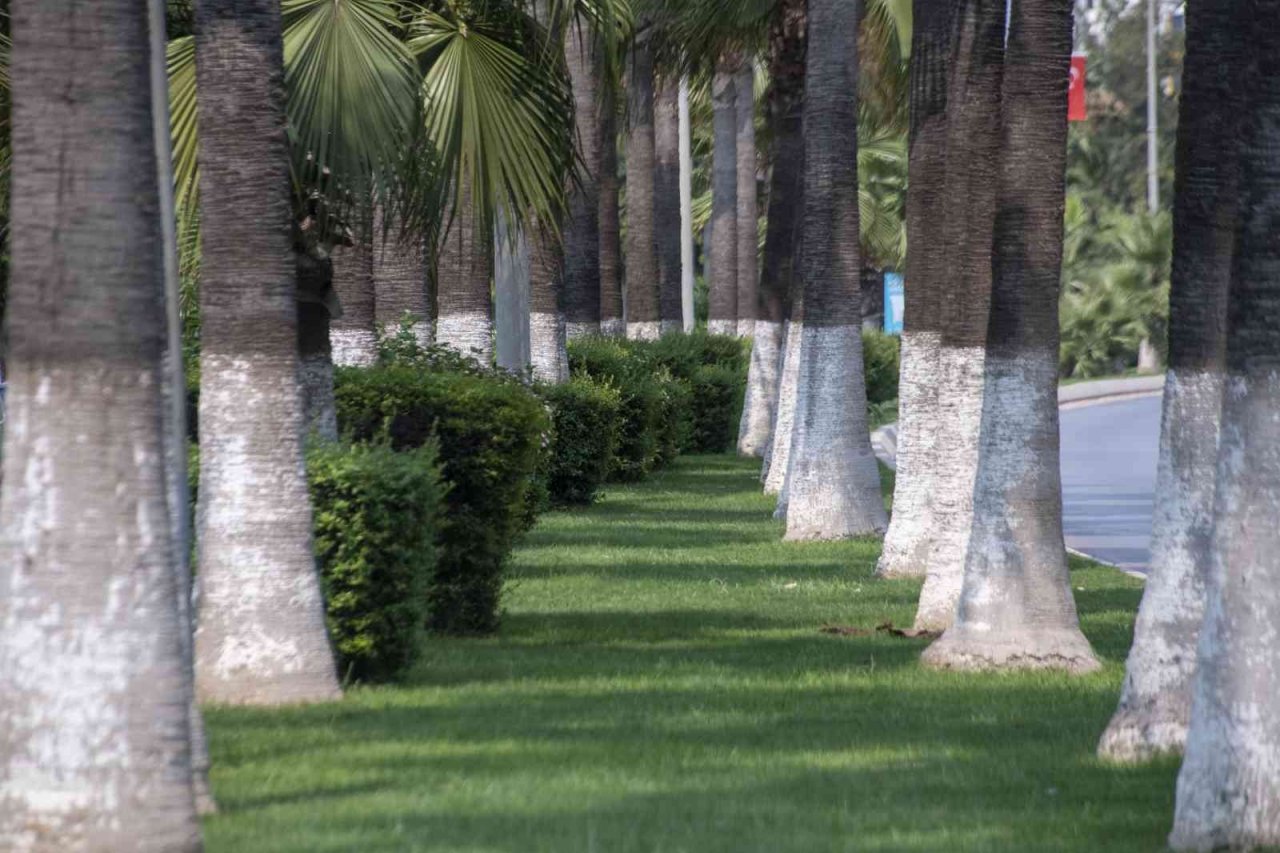 Ateş: "Çalışmalarımız hızlı ve bilimsel şekilde devam edecek"