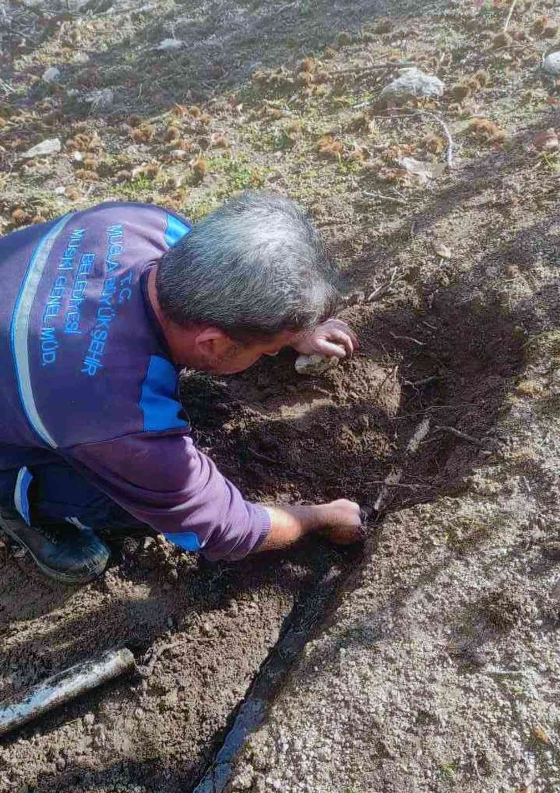 Marmaris ve Milas’ta su gözleri temizlendi
