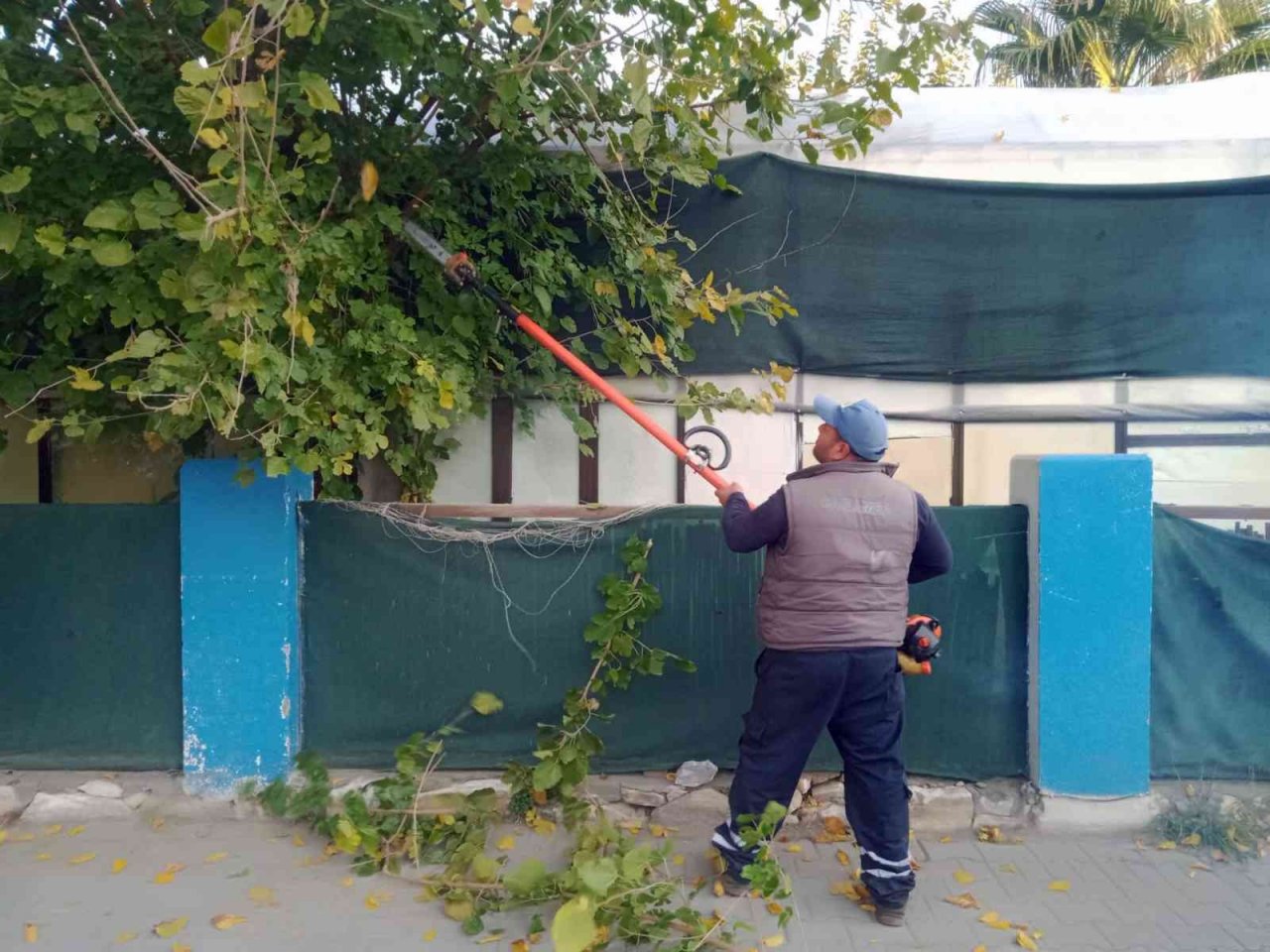 Ortaca’da yeşil alanlarının mevsimsel bakımları yapılıyor