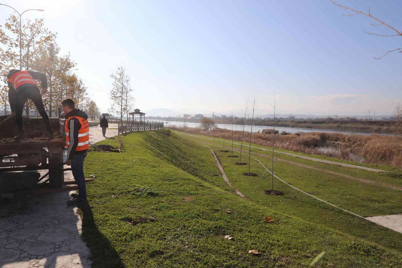 Bafra’da kökler toprakla buluşuyor