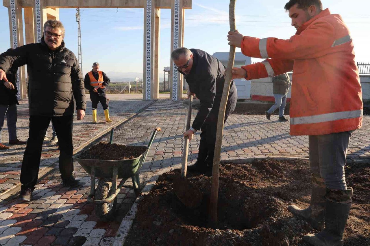 Bafra’da kökler toprakla buluşuyor