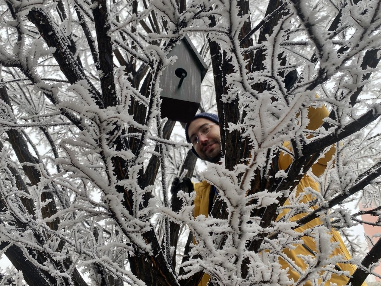 Üniversite öğrencileri kampüsü kuş evleriyle donattı