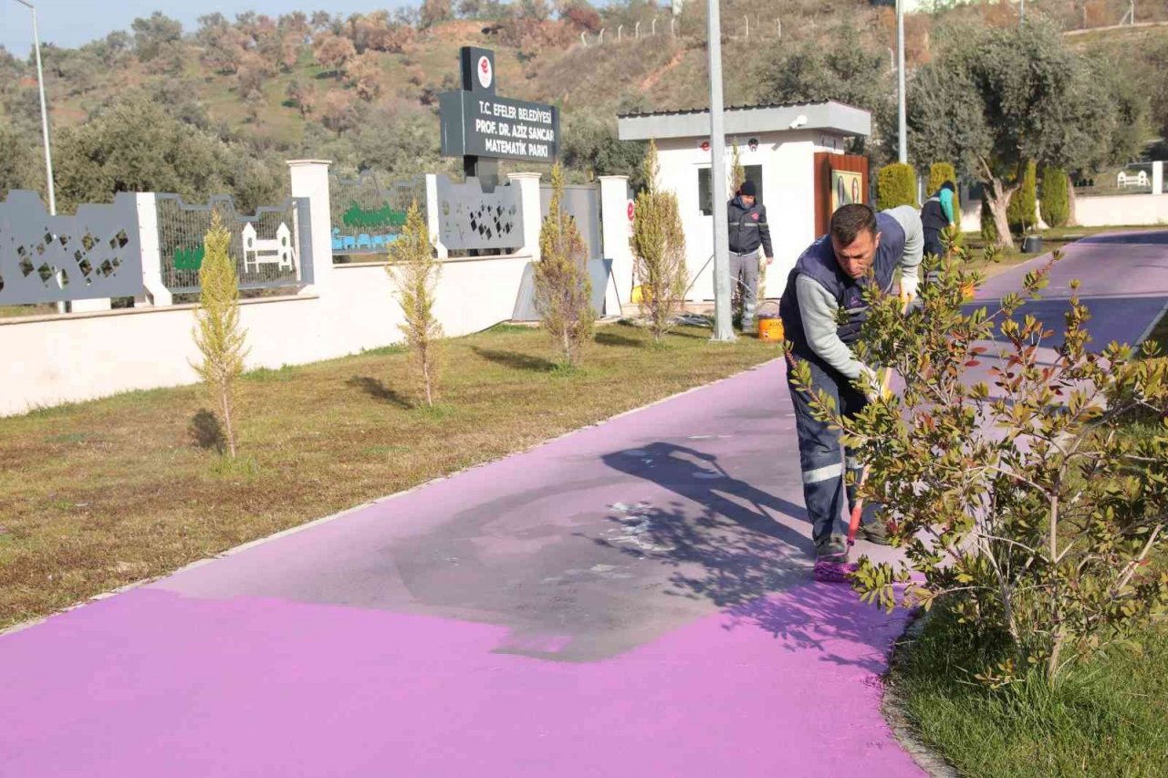 Efeler’in ekiplerinden geniş çerçeveli temizlik