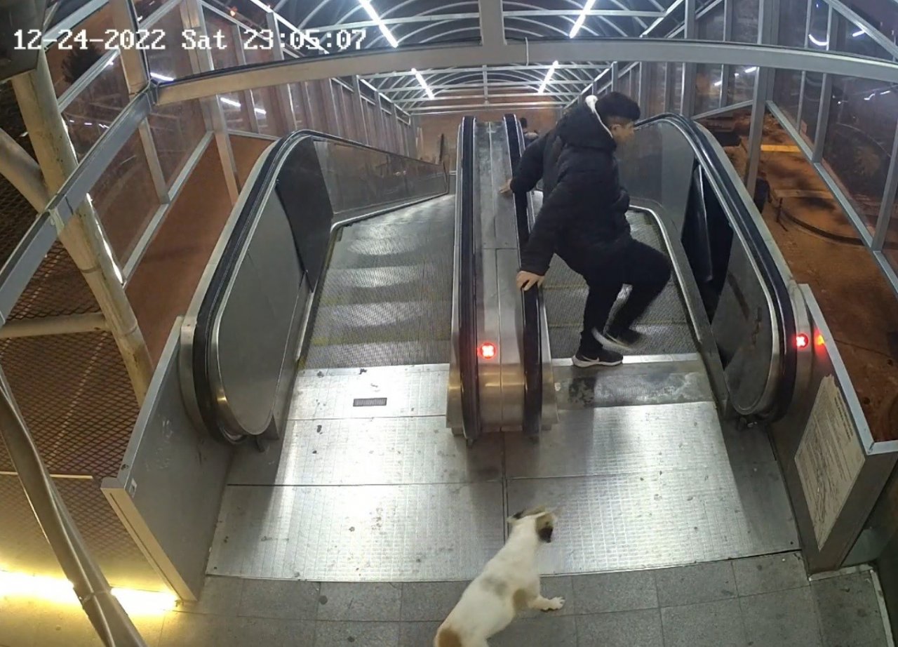 Üst geçidin tahrip edilme anları kameraya yansıdı