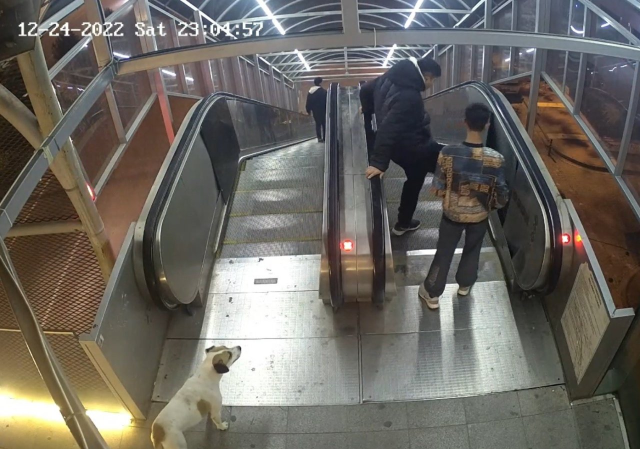 Üst geçidin tahrip edilme anları kameraya yansıdı