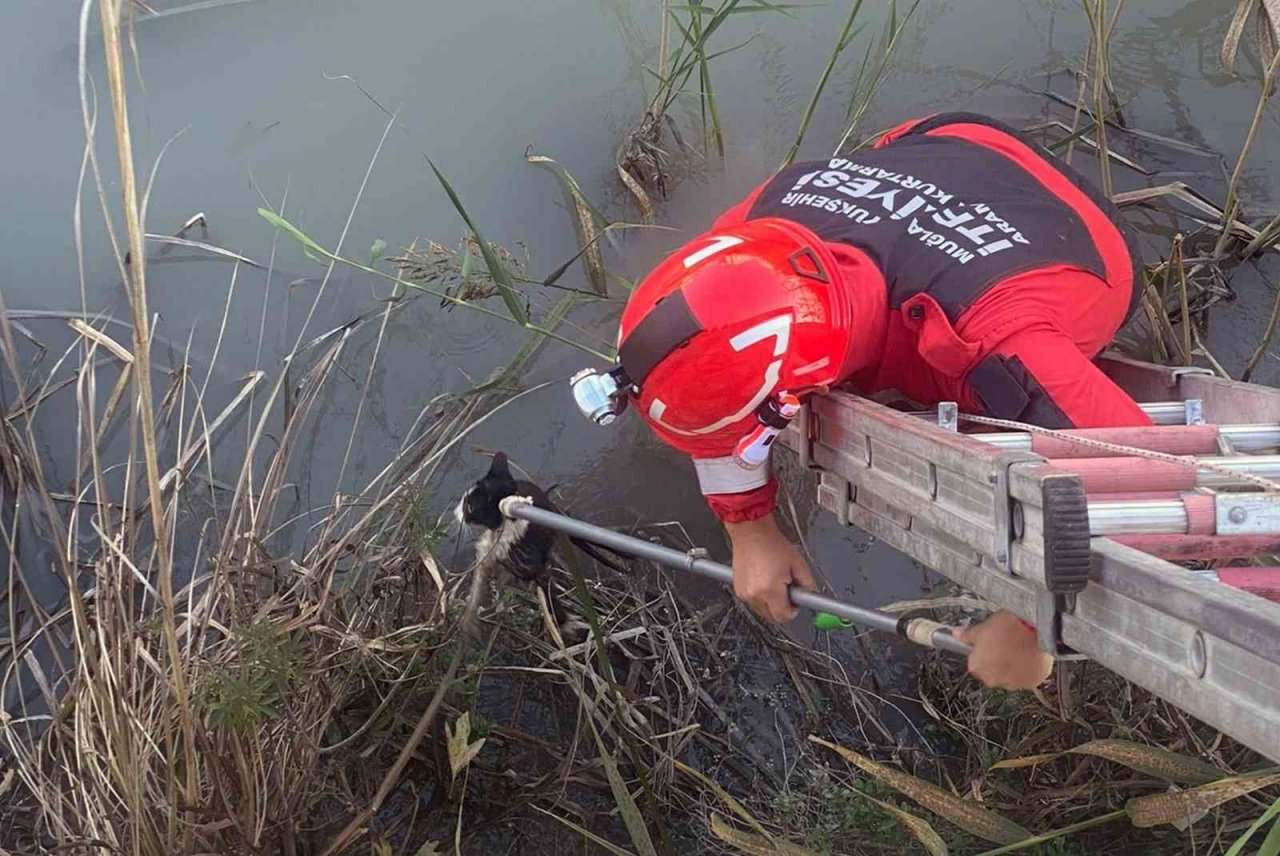 Muğla Büyükşehir İtfaiyesi 2022’de 4 bin 476 olaya müdahale etti