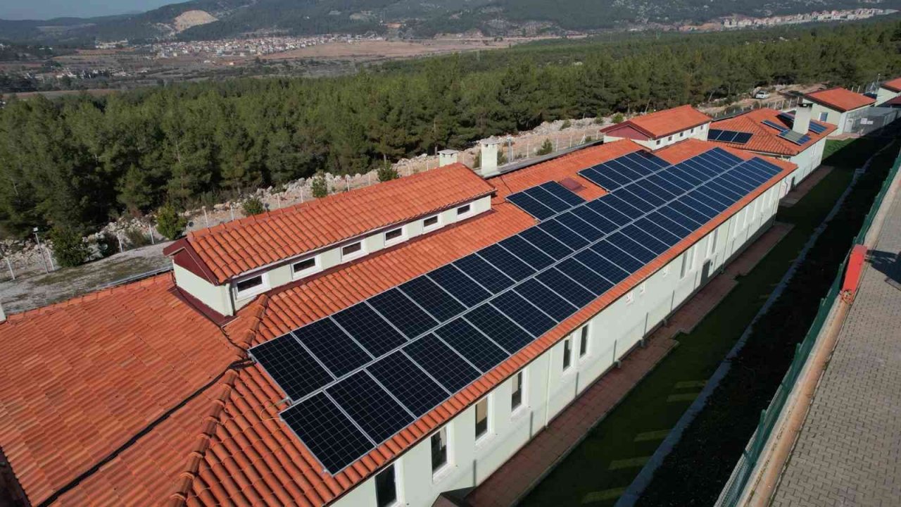 Geçici hayvan bakımevinin enerjisi güneşten