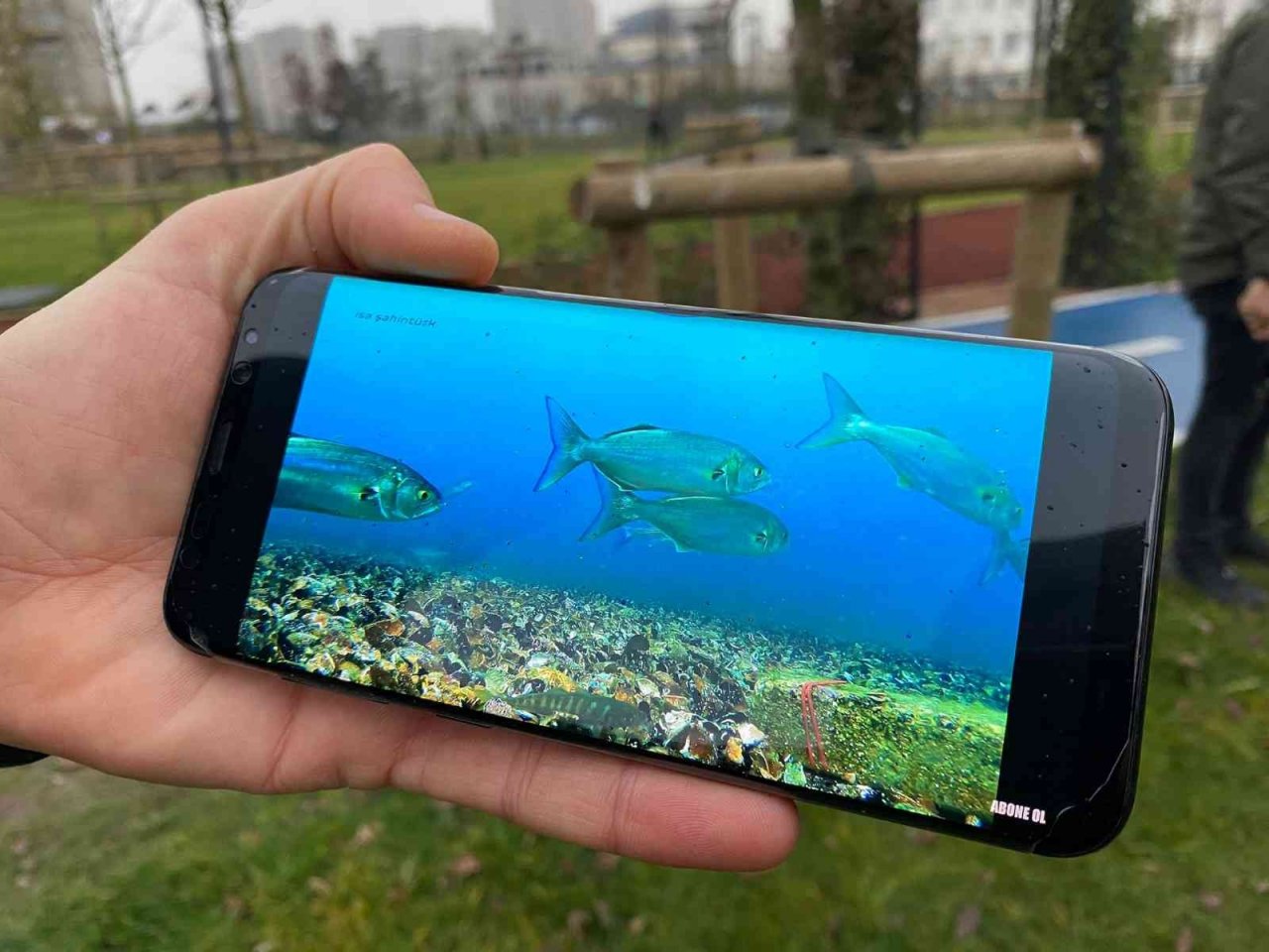 Pendik’te dalış yapan dalgıç lüfer sürüsü ile karşılaştı, o anları su altı kamerasıyla kaydetti