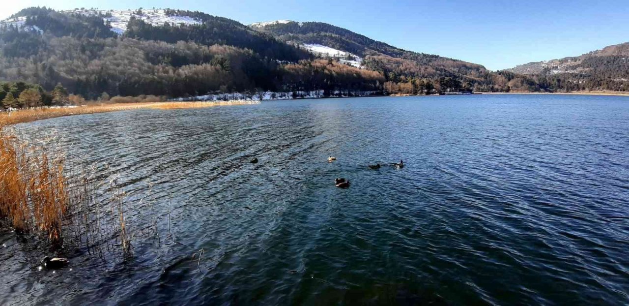 Abant Gölü’nün kıyıları buz tuttu