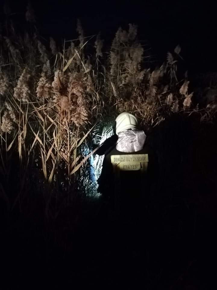 Kuyuda mahsur kalan köpeği itfaiye kurtardı