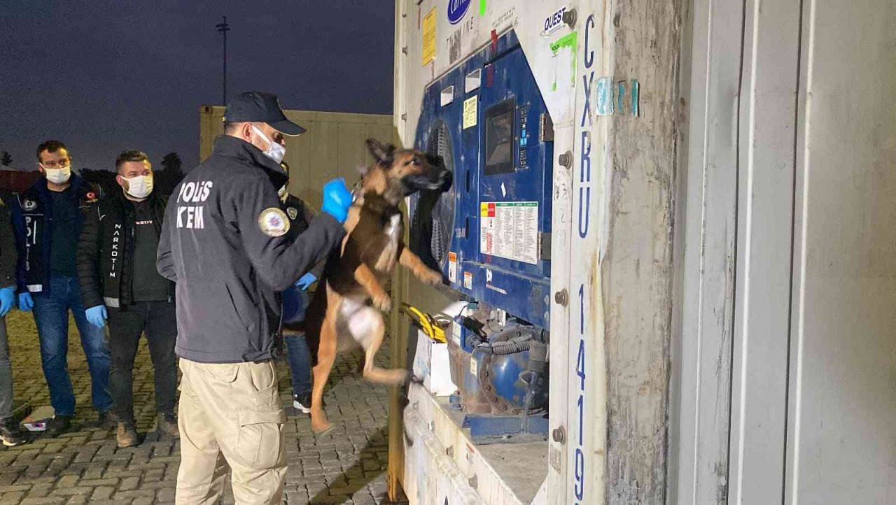 Mersin Limanı’nda 45 kilo kokain ele geçirildi