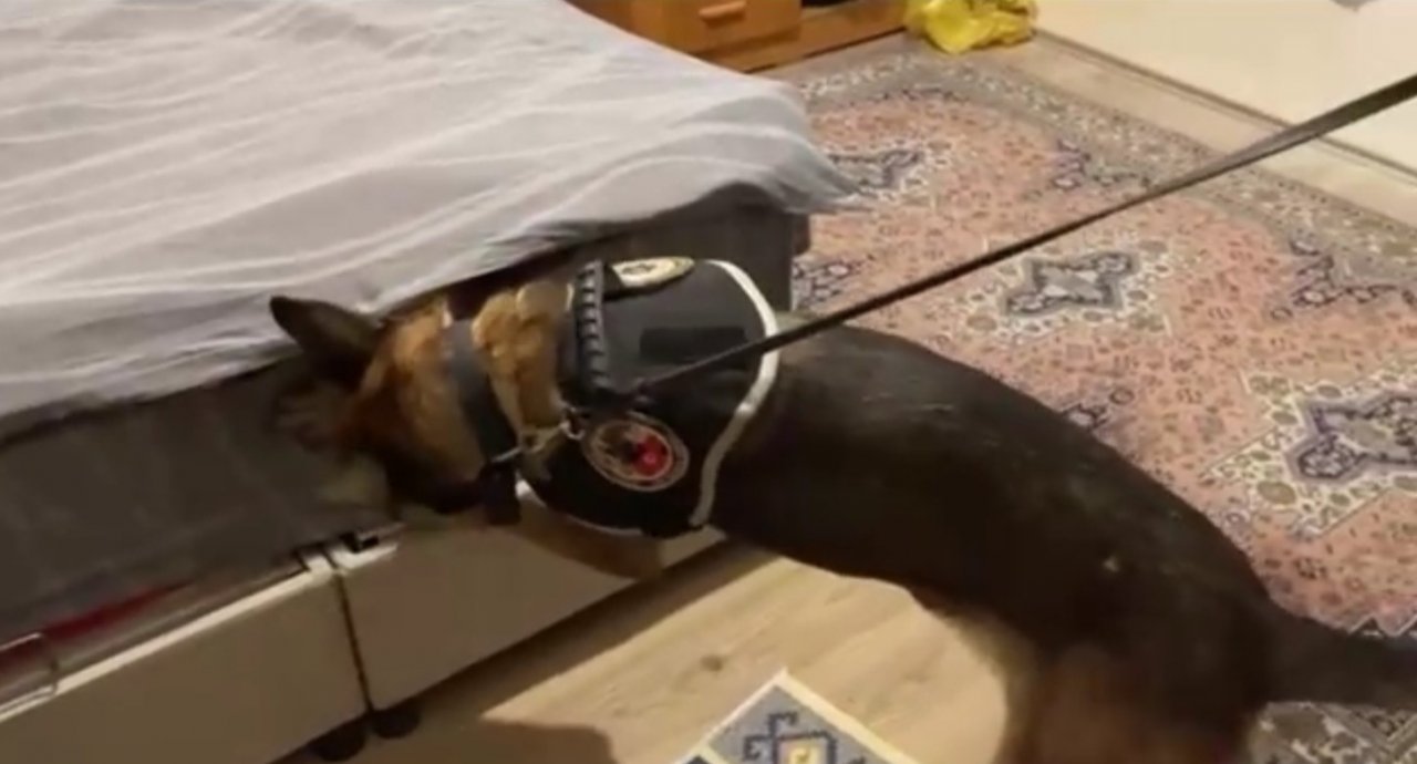 İzmir polisinden zehir baskını: 22 kilo esrar ele geçirildi