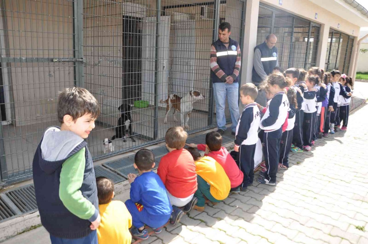 Salihli’deki rehabilitasyon merkezi “Can dostlara” şifa dağıtıyor