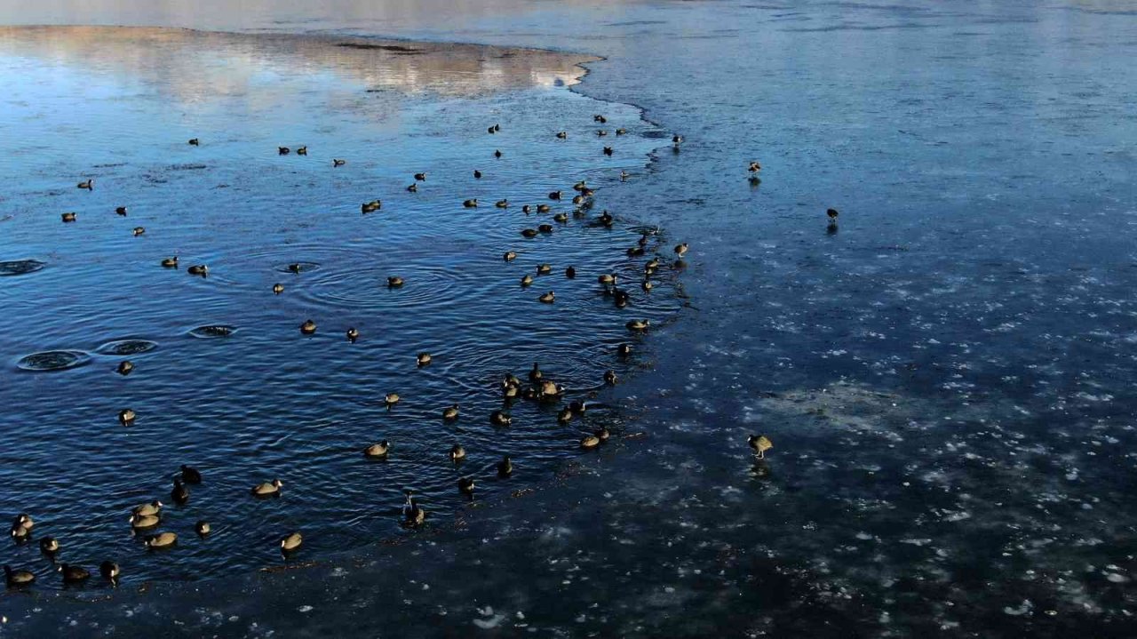 Sibirya soğuklarının yaşandığı şehirde göl dondu