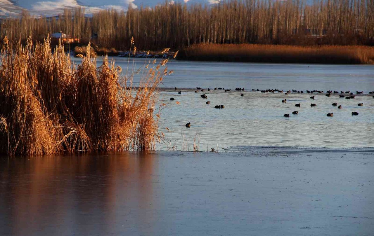 Sibirya soğuklarının yaşandığı şehirde göl dondu