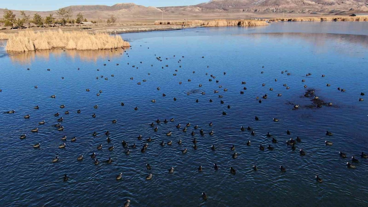Sibirya soğuklarının yaşandığı şehirde göl dondu
