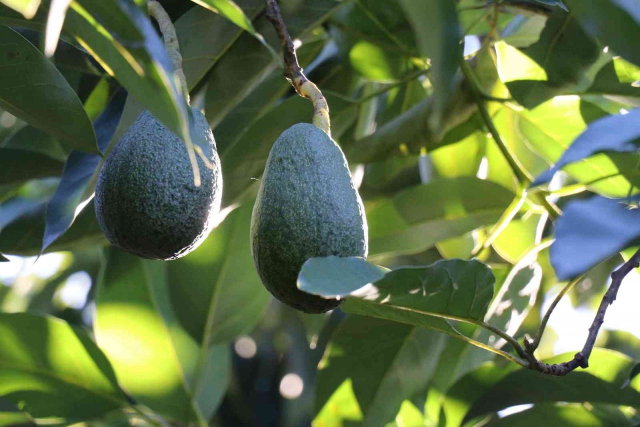 UYMSİB’nin 2023 ihracat hedefi 175 milyon dolar