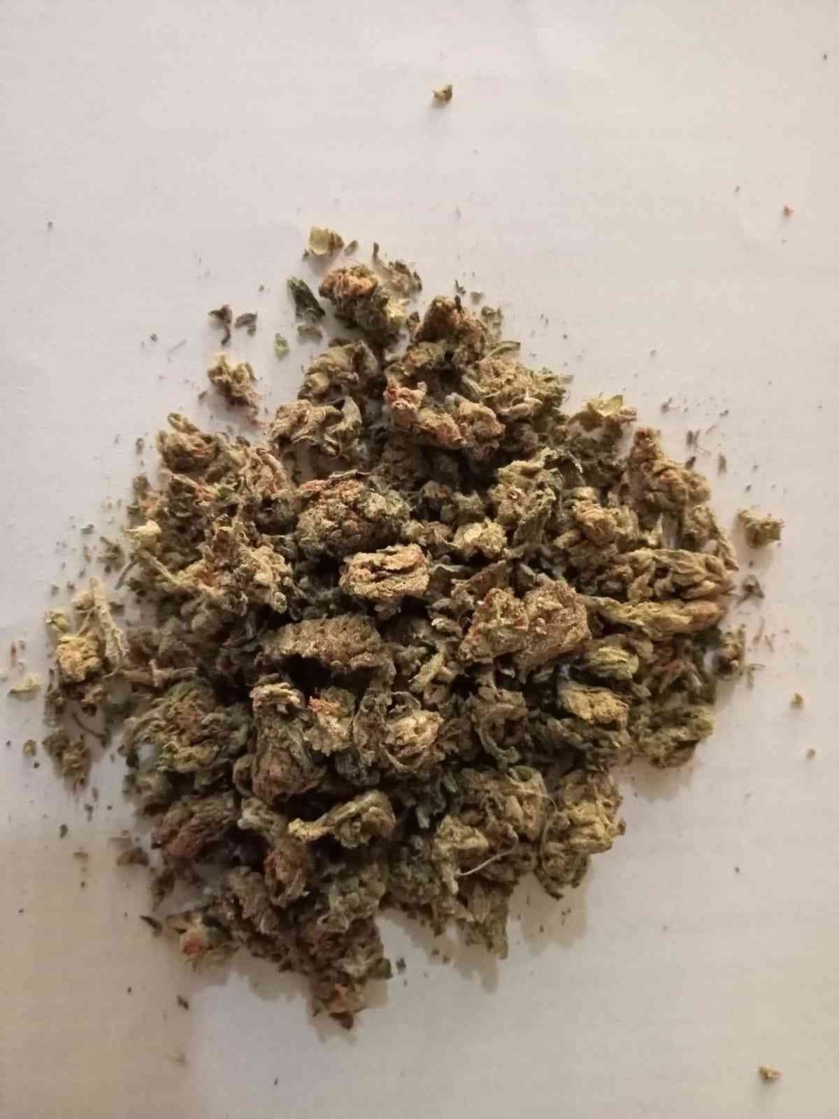 Aydın’da jandarma ekipleri uyuşturucuya geçit vermiyor