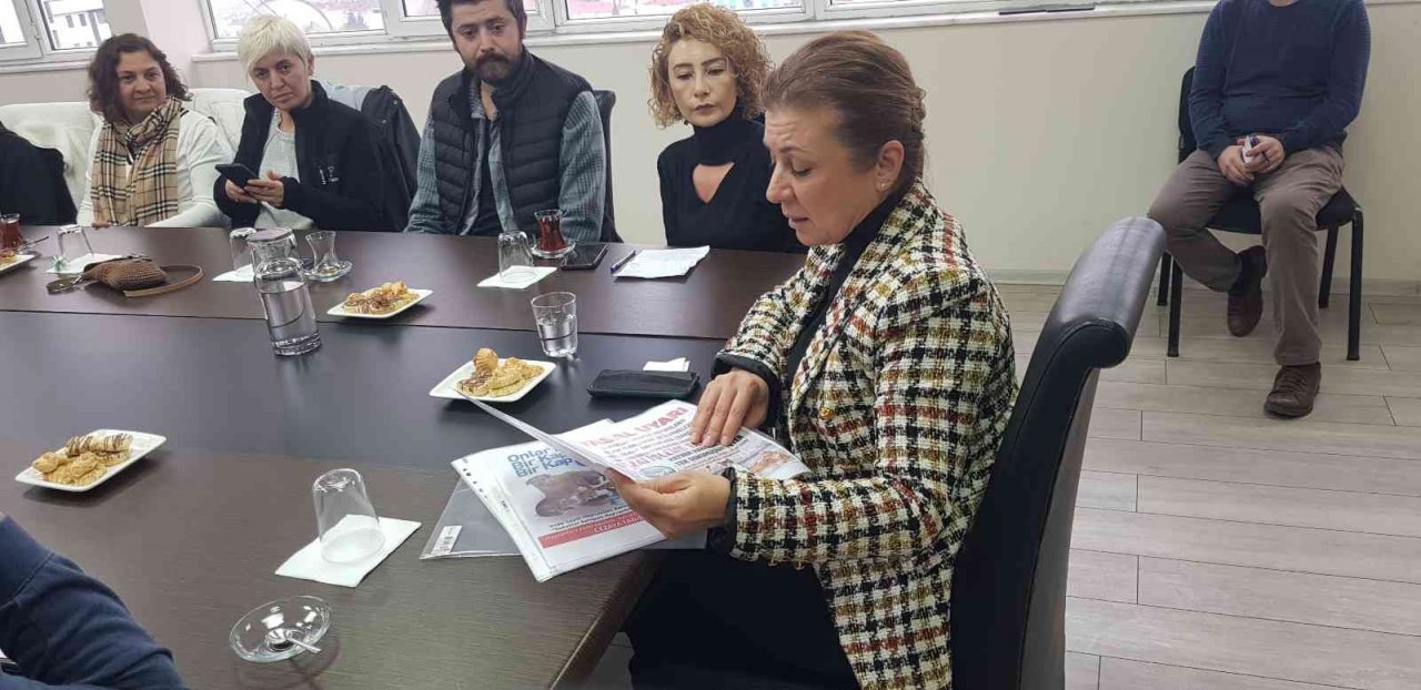 Safranbolu’da sokak hayvanları için özel alan oluşturulacak