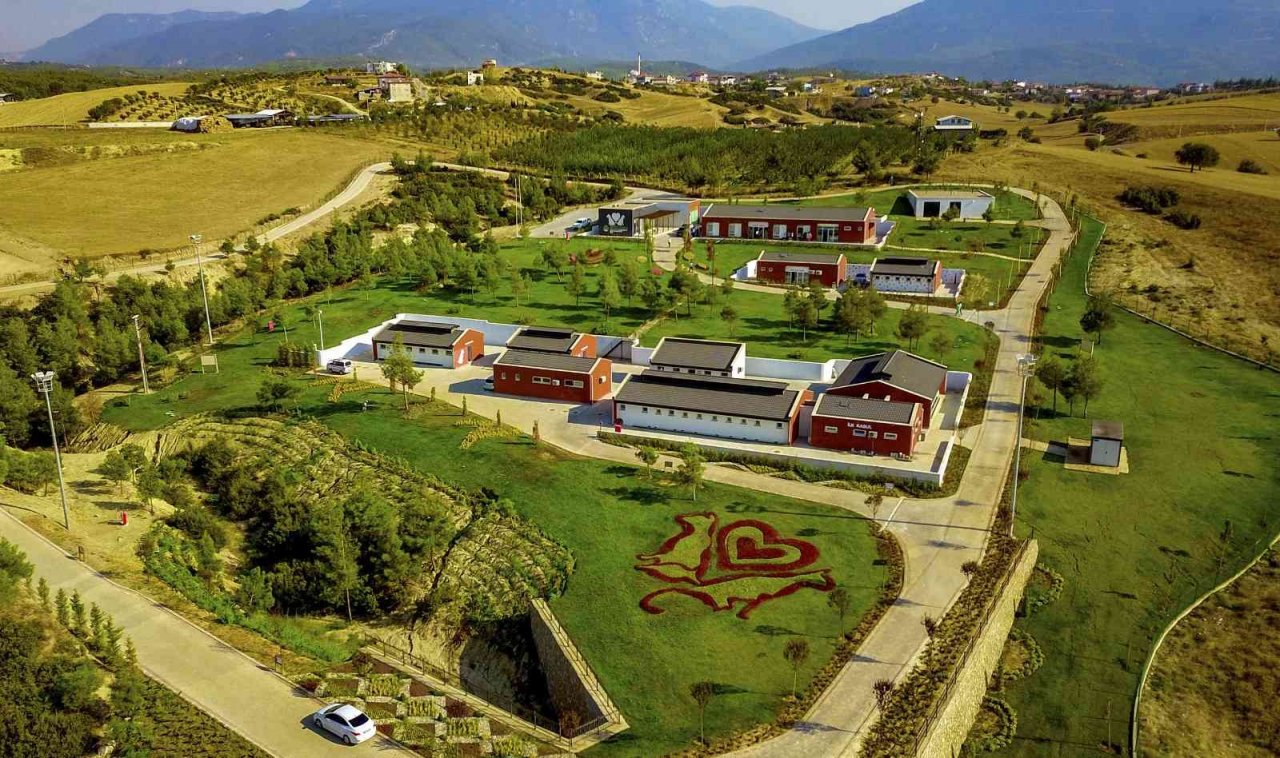 Denizli’de can dostlar çok mutlu