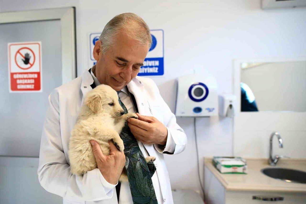 Denizli’de can dostlar çok mutlu