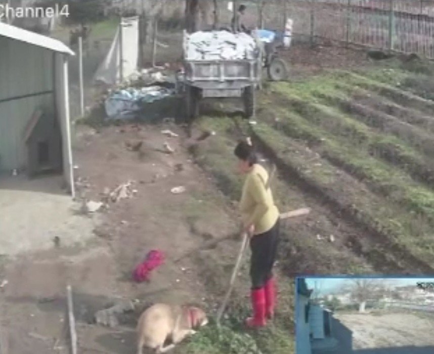 Sahipsiz araziye inşa ettiği binaları kiralayan yaşlı kadın gidip pişkince para istedi