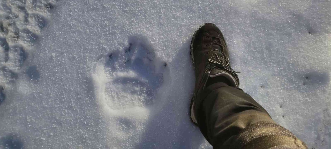 Uludağ’da göller buz tuttu ama kar yok
