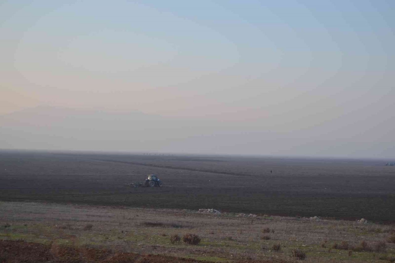 TİGEM, Marmara Gölü’nde buğday ve ayçiçeği yetiştirecek