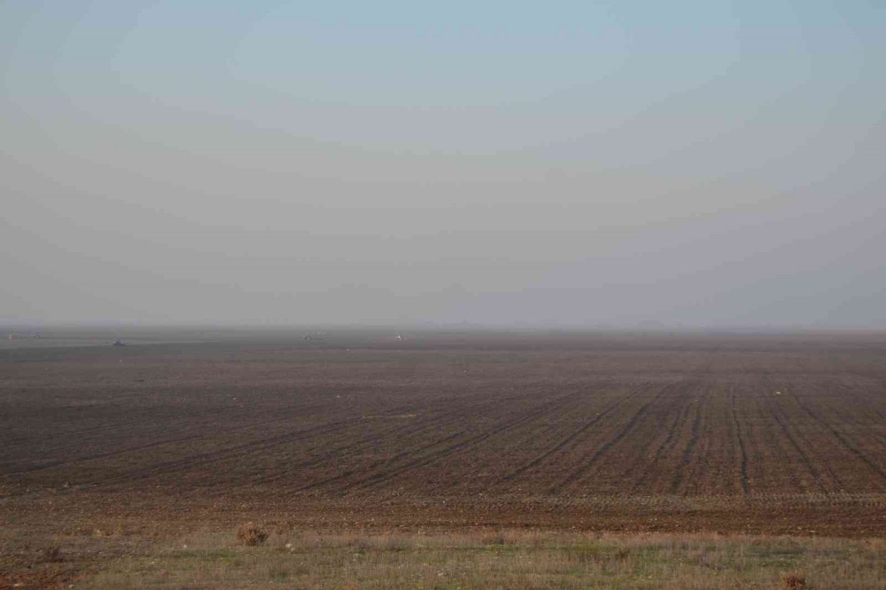 TİGEM, Marmara Gölü’nde buğday ve ayçiçeği yetiştirecek
