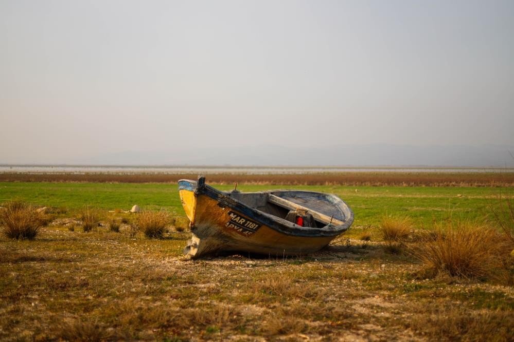 TİGEM, Marmara Gölü’nde buğday ve ayçiçeği yetiştirecek
