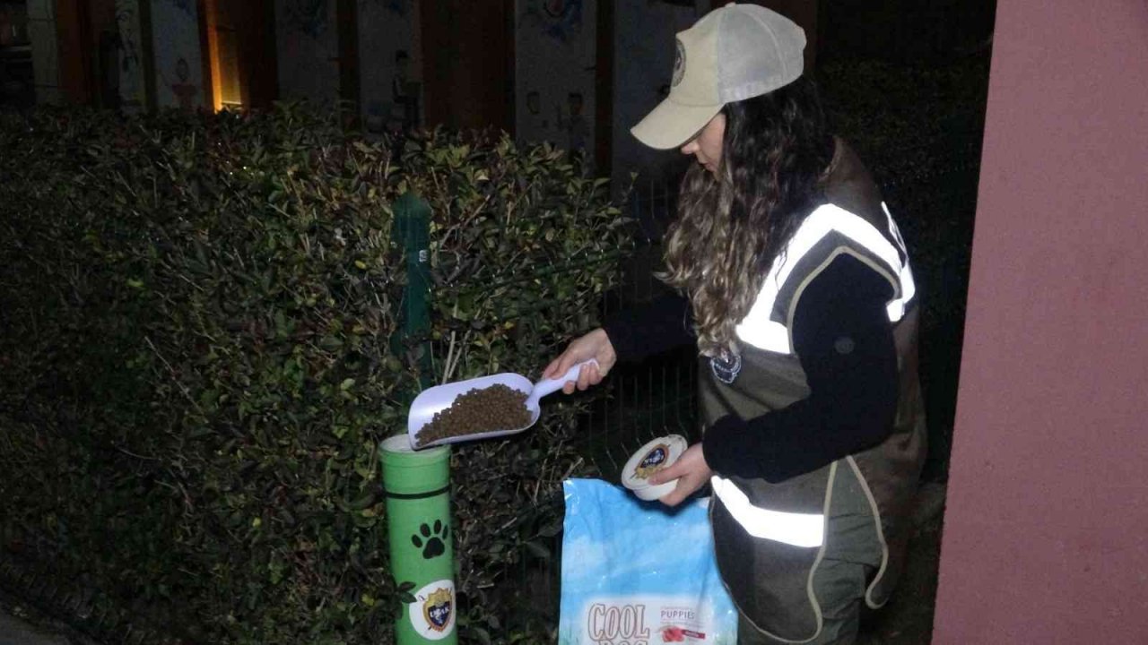 Uşak polisi yeni yılda da sokak hayvanlarını unutmadı